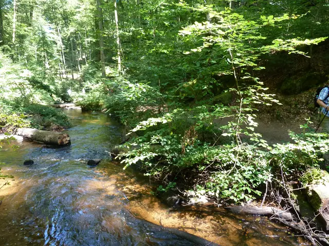 Karlstalschlucht, Natur pur. | Foto: Heinrich Schneider