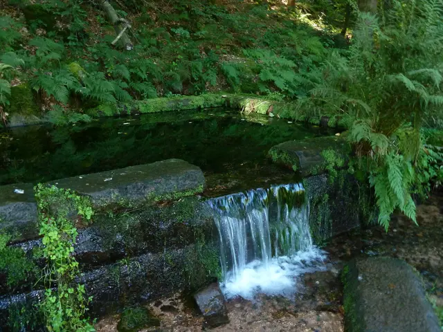 Karlstalschlucht | Foto: Heinrich Schneider