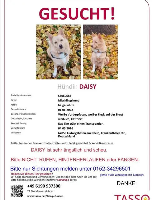 Foto: Daisys Halter