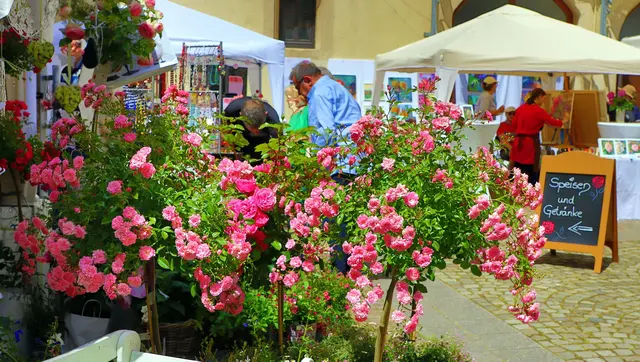 Rosenmarkt Bad Bergzabern 2026: Aussteller präsentieren Pflanzen, Handwerk und dekorative Produkte. Unser Foto entstand bei einer früheren Veranstaltung. | Foto: Foto: Tourismusverein SÜW Bad Bergzabern/Sulamay Fillinger