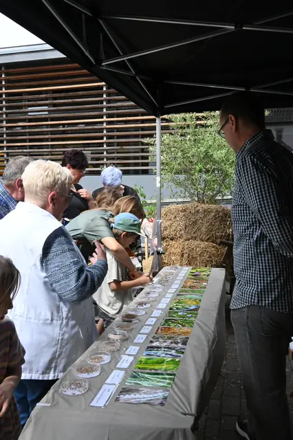alte Getreidearten kennen lernen | Foto: Andrea Abt