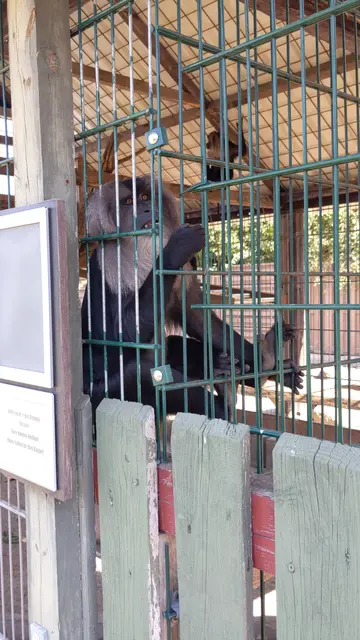Das Gehege der Bartaffen im Tierpark Donnersberg | Foto: PETA Deutschland e.V.