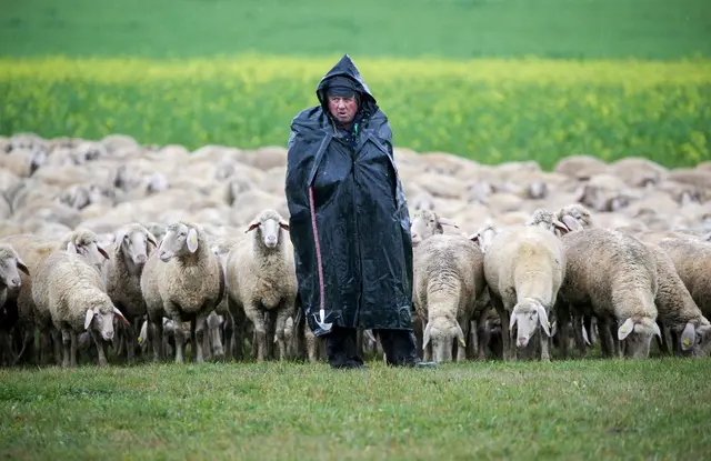 Das Wetter bleibt erst einmal ungemütlich im Südwesten. (Archivbild) | Foto: Thomas Warnack/dpa