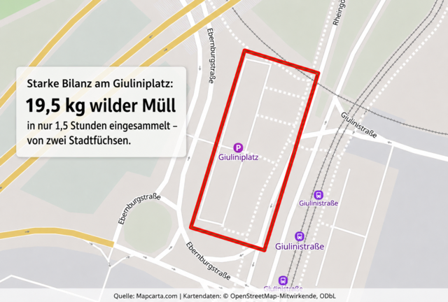 Foto: Stadtfüchse LU - Süd/Mundenheim