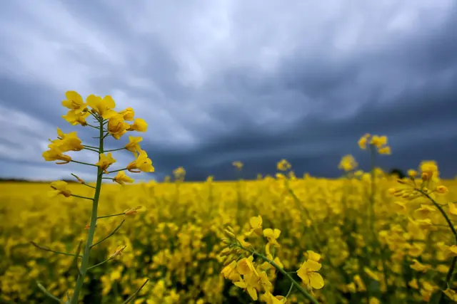Das Wetter bleibt erstmal wechselhaft. (Archivbild) | Foto: Thomas Warnack/dpa