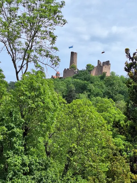 Blick auf die Weinheimer Burgen | Foto: Ich