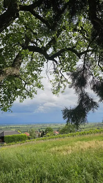 Aussicht | Foto: Ich