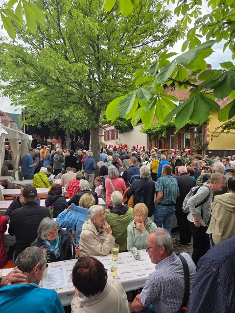 Wer zum Heimat- und Blütenfest nach Rhodt möchte, kann an Pfingsten mit zusätzlichen Bussen ab Edenkoben an- und abreisen. | Foto: Christoph Krieger/frei
