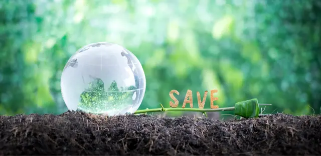nachhaltige Investitionsmodelle - die auch noch gut für die Umwelt sind, stellt ein Webinar im Juni vor | Foto: Yuttana Studio/stock.adobe.com