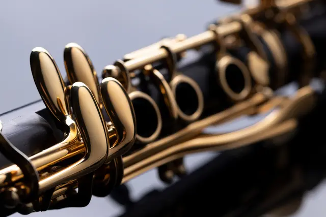 Das Landespolizeiorchester Rheinland-Pfalz spielt am Mittwoch, 27. Mai, ein Frühlingskonzert im Dom zu Speyer. Der Eintritt ist frei, Spenden sind willkommen. Symbolbild | Foto: Janisphoto/stock.adobe.com
