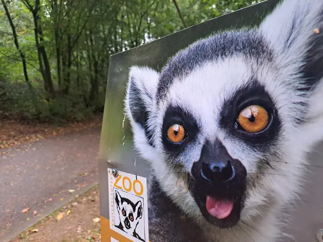 Beim Artenschutztag im Zoo Kaiserslautern dreht sich alles um bedrohte Tierarten und den Schutz der biologischen Vielfalt | Foto: Monika Klein
