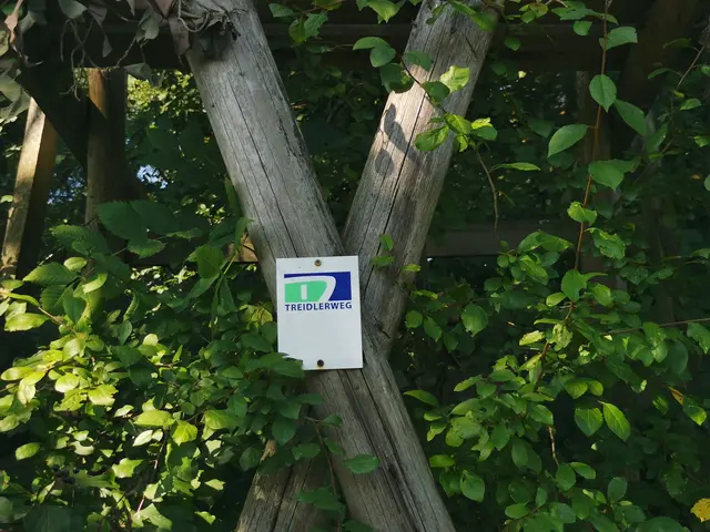 Auf dem Treidlerweg durch die Hördter Rheinauen | Foto: Heike Schwitalla