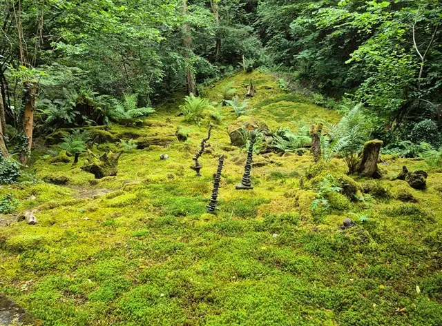 Moosgarten im Nahe der Natur-Museum Staudernheim  | Foto: Dr. Michael Altmoos 