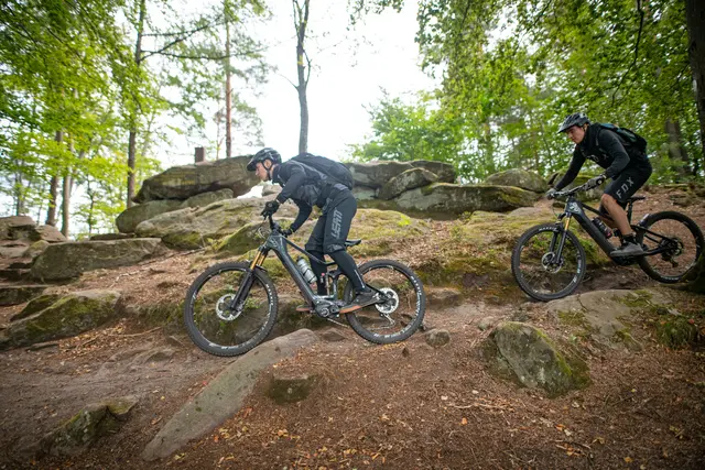 Flowige Trails, weite Ausblicke und Naturerlebnis: Der Mountainbikepark Pfälzerwald zählt zu den beliebtesten Bike-Regionen Deutschlands | Foto: CC-BY-SA Christoph Riemeyer, c-sign/gratis