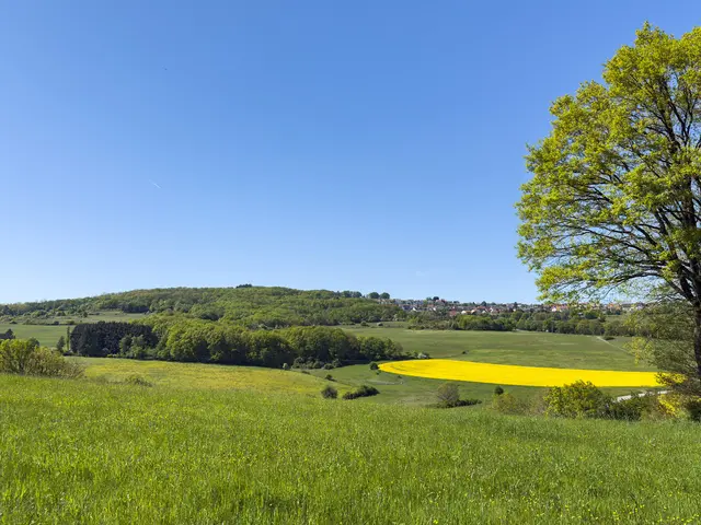 Blick auf das Naturschutzgebiet "Magerrasen am Eulenkopf" | Foto: Ingo Stiegemeyer/gratis