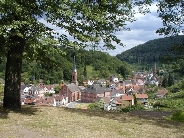 Blick vom Köpfel auf Weidenthal  | Foto: Harald König