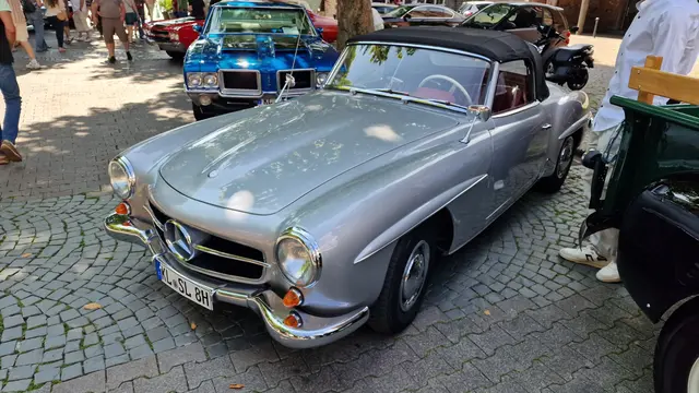 Foto: Ralf Vester