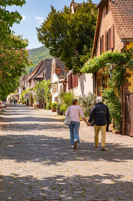 Beim Heimat- und Blütenfest verwandelt sich die Theresienstraße in Rhodt in eine malerische Festmeile mit Kastanienbäumen | Foto: CC-BY Pfalz Touristik, Heimatlichter GmbH