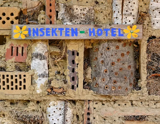 Insektenhotels sollten natürliche Materialien und eine Vielzahl von Röhren mit unterschiedlichen Durchmessern aufweisen. | Foto: dpa