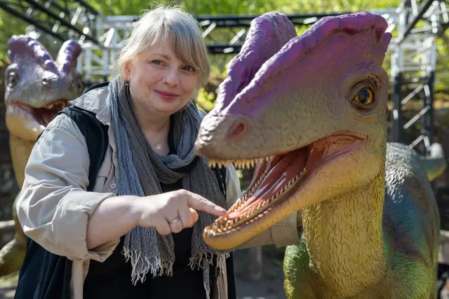 Dino-Knochen, Kriegsschiffe und Goldschätze machen das Bundesland zu einer archäologischen Schatzkammer. (Archivbild) | Foto: Harald Tittel/dpa