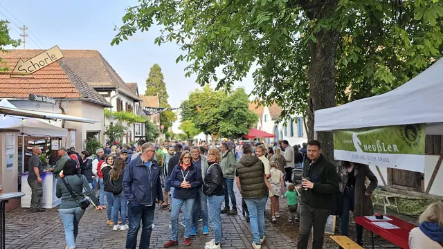 Festbetrieb beim Heimat- und Blütenfest in Rhodt unter Rietburg: Besucherinnen und Besucher ziehen zwischen Höfen, Ständen und Ausschank durch den Ort | Foto: Eva Bender