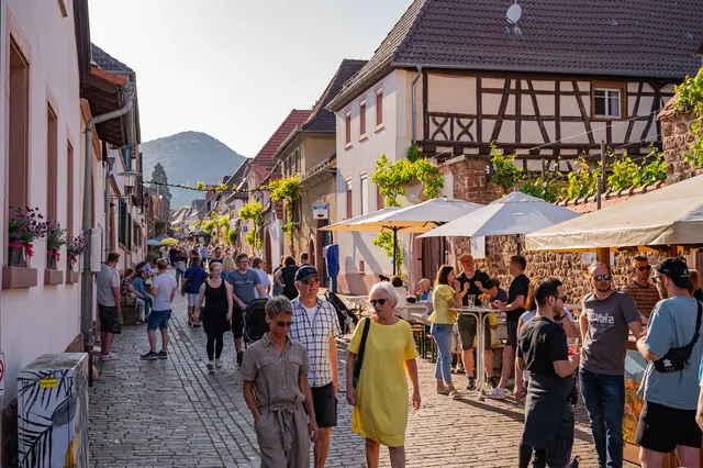 Entlang der historischen Theresienstraße in Rhodt unter Rietburg findet an Pfingsten das Heimat- und Blütenfest 2026 statt | Foto: CC-BY Pfalz Touristik e. V., Heimatlichter GmbH