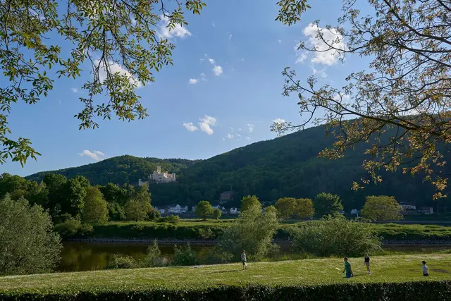 Sommerliches Wetter bestimmt das anstehende Pfingstwochenende. (Symbolbild) | Foto: Sascha Ditscher/dpa