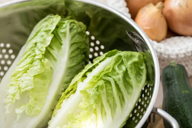 Mehr als nur Rohkost: Romanasalat kann nicht nur Salat – man kann ihn auch dünsten, braten oder grillen, ohne dass er zerfällt. | Foto: dpa