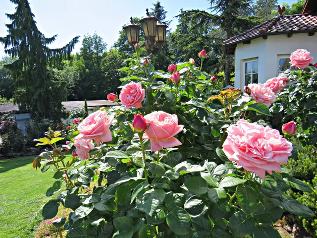Foto: Brigitte Melder