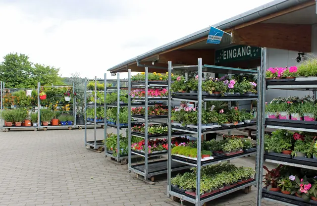 Gartenbedarf Kaiserslautern bei Landfuxx Weilerbach: Pflanzen, Erde und Zubehör aus einer Hand | Foto: Monika Klein