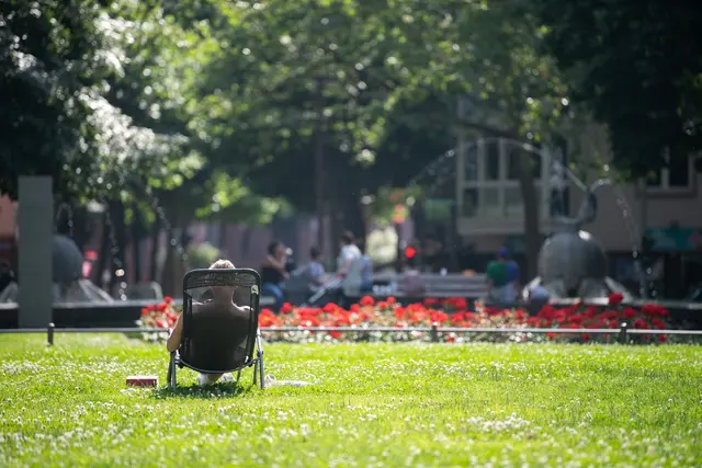 Am Wochenende wird es sommerlich mit ganz viel Sonnenschein. (Symbolbild)  | Foto: Sebastian Gollnow/dpa