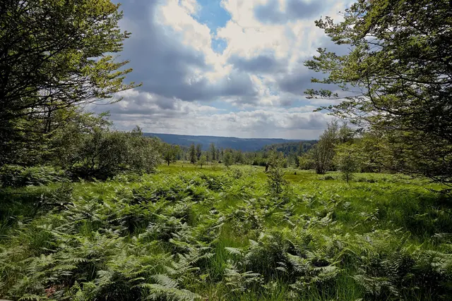 Der Nationalpark wurde vor elf Jahre eröffnet (Archivbild) | Foto: Thomas Frey/dpa/dpa-tmn