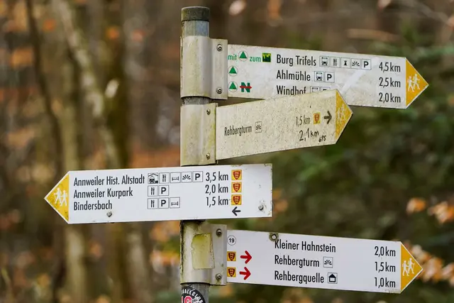 Der 83-Jährige war beim Wandern im Pfälzerwald gestürzt. (Symbolbild) | Foto: Uwe Anspach/dpa