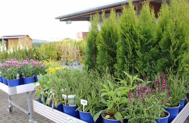 Fachberatung bei Landfuxx Weilerbach unterstützt beim Gartenbedarf Kaiserslautern individuell und praxisnah | Foto: Monika Klein
