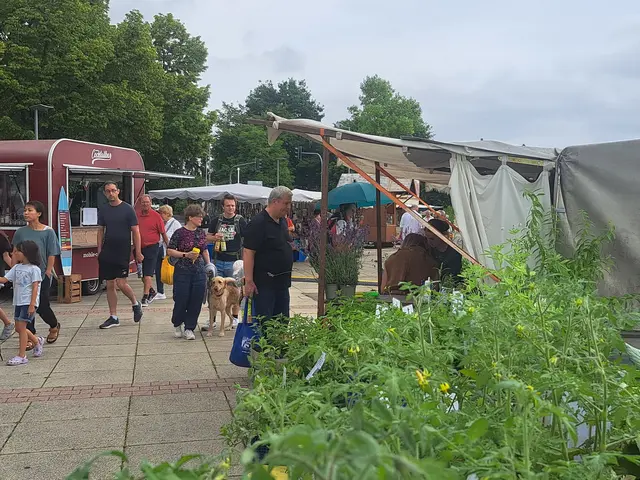 Ob Schmuck, Kräuter, Wildbratwurst oder Handarbeiten: Auf dem Weilerbacher Bauernmarkt gibt es für Groß und Klein viel zu entdecken | Foto: Monika Klein