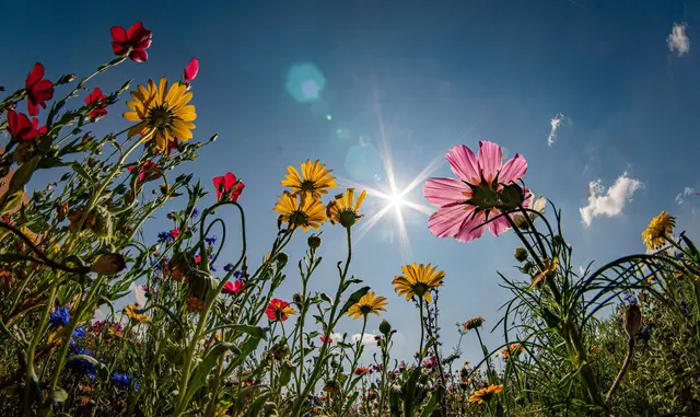 Die Temperaturen klettern am Wochenende auf bis zu 34 Grad. (Archivbild)  | Foto: Frank Rumpenhorst/dpa