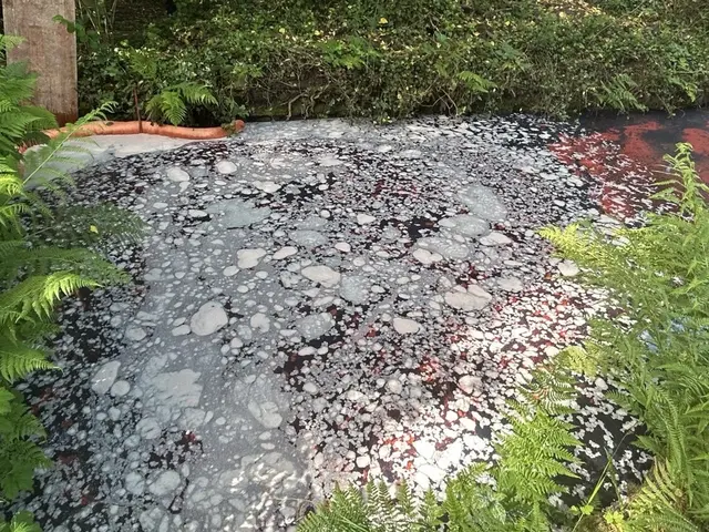 Rund 800 Liter Heizöl sind in Schönau (Pfalz) aus einem undichten Tank ausgetreten und gelangten über mehrere Teiche in den Saarbach. Feuerwehr und Gefahrstoffzug verhinderten eine weitere Ausbreitung und sichern das Gewässer. | Foto: Polizeiinspektion Dahn