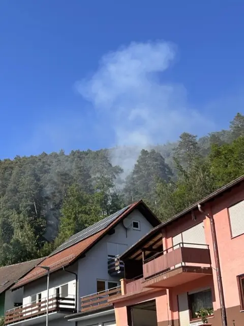 Eine explodierte Deodose soll im Pfälzerwald einen Waldbrand ausgelöst haben. Die Feuerwehr löschte rund 50 Quadratmeter brennende Fläche, die Polizei sucht nun Zeugen. | Foto: Polizeiinspektion Dahn