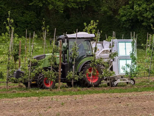 Das Landwirtschaftliche Technologiezentrum (LTZ) Augustenberg testet den UV-Booster. | Foto: Uli Deck/dpa