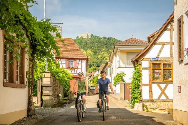 Beim Stadtradeln 2026 sollen in Neustadt wieder möglichst viele Alltagswege mit dem Fahrrad zurückgelegt werden. | Foto: Pfalz Touristik, Dominik Ketz