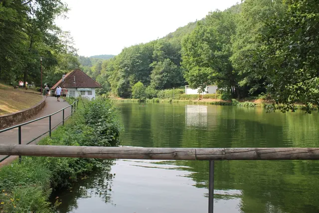 Der Bärenlochweiher steht aktuell wegen einer Blaualgen-Entwicklung im Fokus. Auf dem Bild ist der Weiher als Bade- und Aufenthaltsort zu sehen. | Foto: Verbandsgemeinde Landstuhl