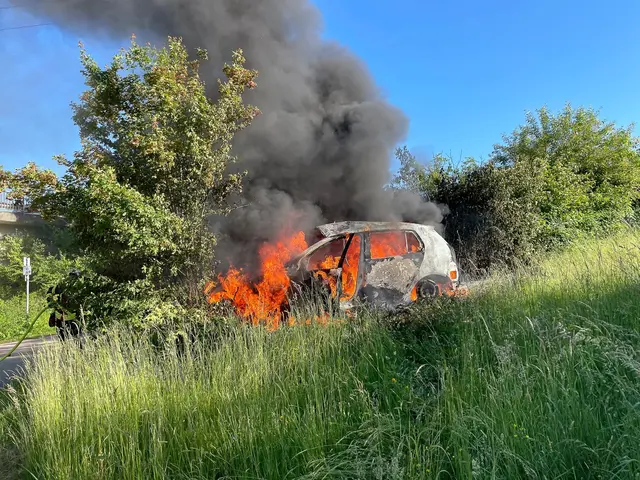Der Wagen geriet nach dem Unfall in Brand - der Fahrer wurde schwer verletzt.  | Foto: Polizeidirektion Trier/dpa