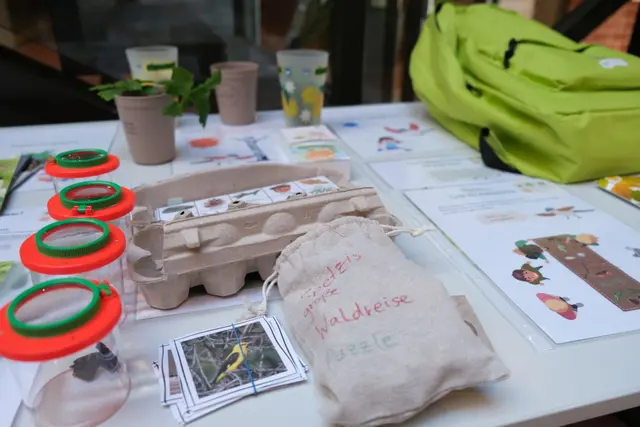 Für den nächsten Ausflug mit der Kindergruppe gibt es ab Mitte Juni neue Materialien zum Spielen, Forschen und Entdecken im Wald. | Foto: KV SÜW
