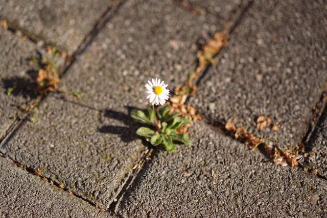 Foto: Melanie Waldschmitt