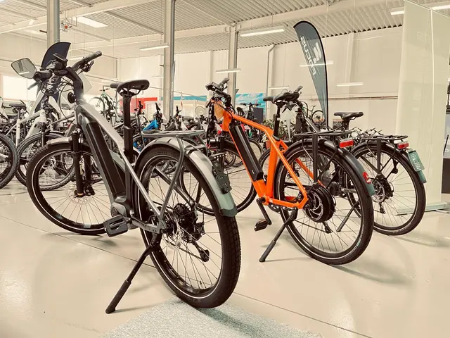 Pendler profitieren bei modernen E-Bikes von Komfort, Motorunterstützung und geringeren laufenden Kosten. Die abgebildeten Speed-E-Bikes fahren bis zu 45 Stundenkilometer schnell. Sie eignen sich besonders gut für längere Strecken | Foto: eBike Store Kaiserslautern
