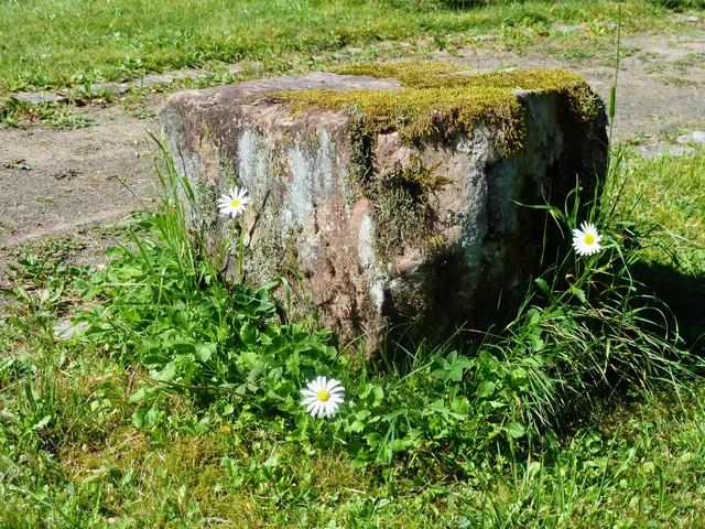 Natur pur auf den Wanderungen immer anzutreffen | Foto: Heinrich Schneider