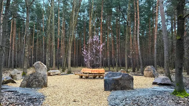 Mit elf Sandsteinen, einer Sitzbank und vielen symbolischen Botschaften lädt der neue „Freundschaftskreis“ im Haßlocher Wald zum Verweilen und Nachdenken ein. | Foto: Gemeindeverwaltung Haßloch