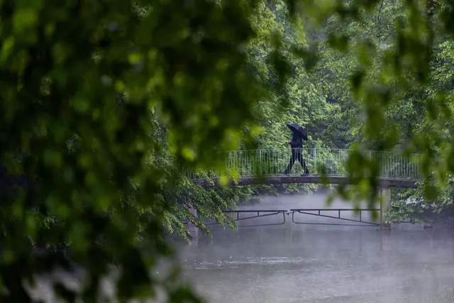 Gebietsweise kann es Schauer und Gewitter geben. (Archivbild) | Foto: Rolf Vennenbernd/dpa