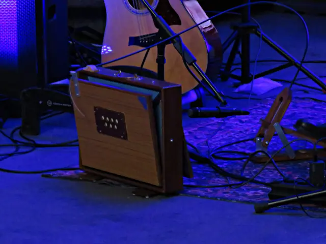 Das ist das indische Instrument | Foto: Brigitte Melder