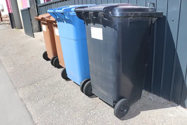 Tonnen rausgestellt und trotzdem keine Leerung. In Pirmasens verschiebt sich die Abfuhr nach Fronleichnam in mehreren Bezirken. | Foto: Stadt Pirmasens
